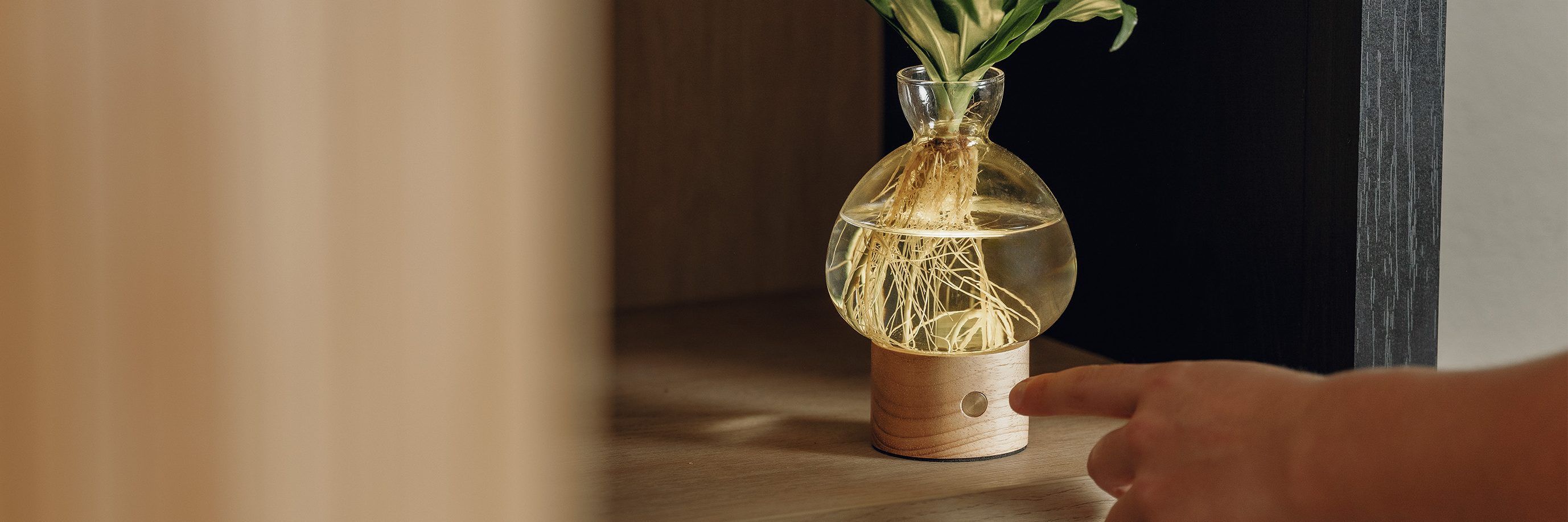 Illuminate styled lifestyle shot
